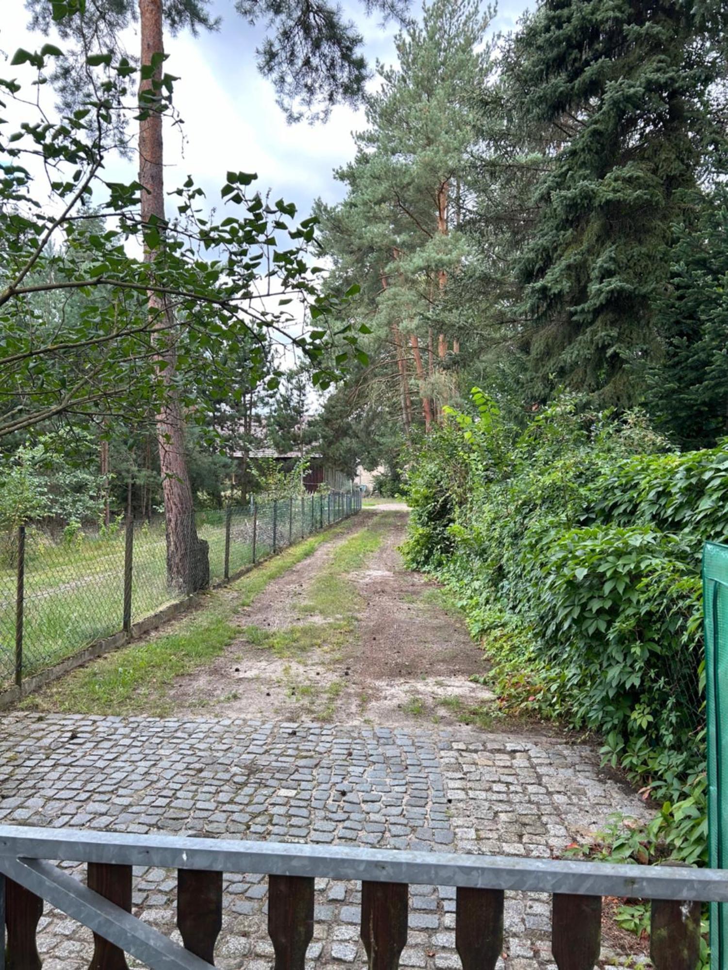 Ferienhaus Haus Waldidyll Am Briesensee